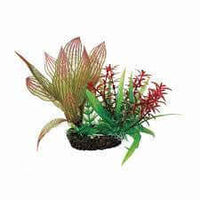Hugo Plant Set 1 SM - ديكور حوض السمك - Zue For Pet Supplies Co.