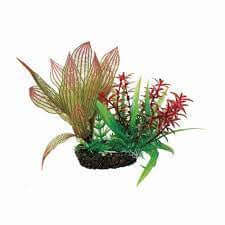 Hugo Plant Set 1 SM - ديكور حوض السمك - Zue For Pet Supplies Co.