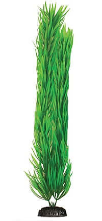 Hugo Pogestemon Green 30cm - ديكور حوض السمك - Zue For Pet Supplies Co.