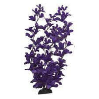 Hugo Purple Rotala Silk 20cm - ديكور حوض السمك - Zue For Pet Supplies Co.