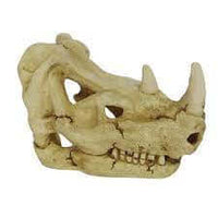 Hugo Rhinoceros Skull 18X11X12cm - ديكور حوض السمك - Zue For Pet Supplies Co.