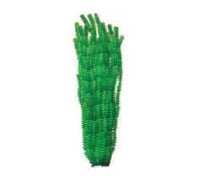 Hugo Xl Large Plant Green 1 95cm - ديكور حوض السمك - Zue For Pet Supplies Co.