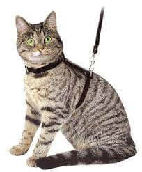 Kerbl Cat Harness + Leash 120cm Black Suede Leather - مجموعة رباط تحكم وصدرية للقطط - Zue For Pet Supplies Co.