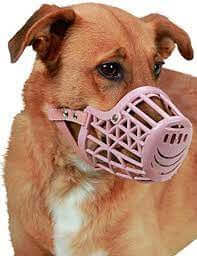 Kerbl Plastic Muzzle Brown Size7 - اكسسوارات الكلاب - Zue For Pet Supplies Co.