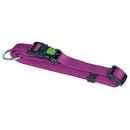 Kerbl Collar Miami Purple 25mmx45-65cm - طوق الكلاب - Zue For Pet Supplies Co.