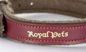 Kerbl Collar Royal Pets 25mmx38-46cm - طوق الكلاب - Zue For Pet Supplies Co.