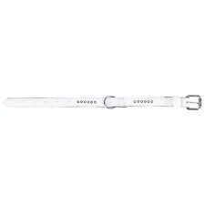 Kerbl Diamond Collar 2 Rows of Diamond Trim 16mmx42cm White - طوق الكلاب - Zue For Pet Supplies Co.