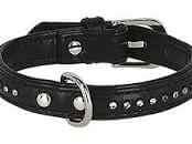 Kerbl Diamond Rhinestone Collar Black 16mmx34-29cm - طوق الكلاب - Zue For Pet Supplies Co.