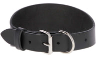 Kerbl Mexica Collar Black F Greyhounds 32-40cmx1.5cm - طوق الكلاب - Zue For Pet Supplies Co.