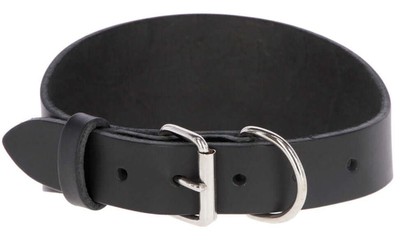 Kerbl Mexica Collar Black F Greyhounds 32-40cmx1.5cm - طوق الكلاب - Zue For Pet Supplies Co.