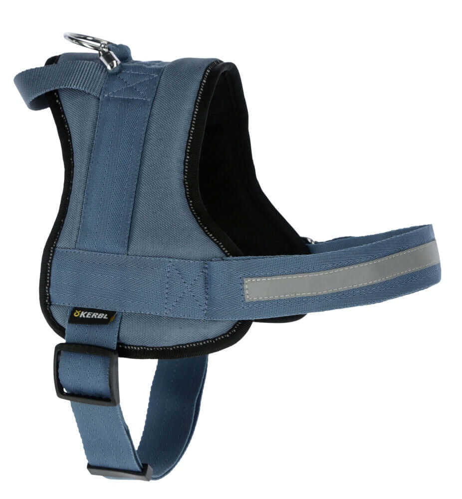 Kerbl Harness Maestro 2.0 Petrol 20mmx57-77cm w/Ident. Tube - مجموعة رباط تحكم وصدرية للكلاب - Zue For Pet Supplies Co.
