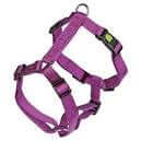 Kerbl Harness Miami Purple 75-100cmx25mm - مجموعة رباط تحكم وصدرية للكلاب - Zue For Pet Supplies Co.