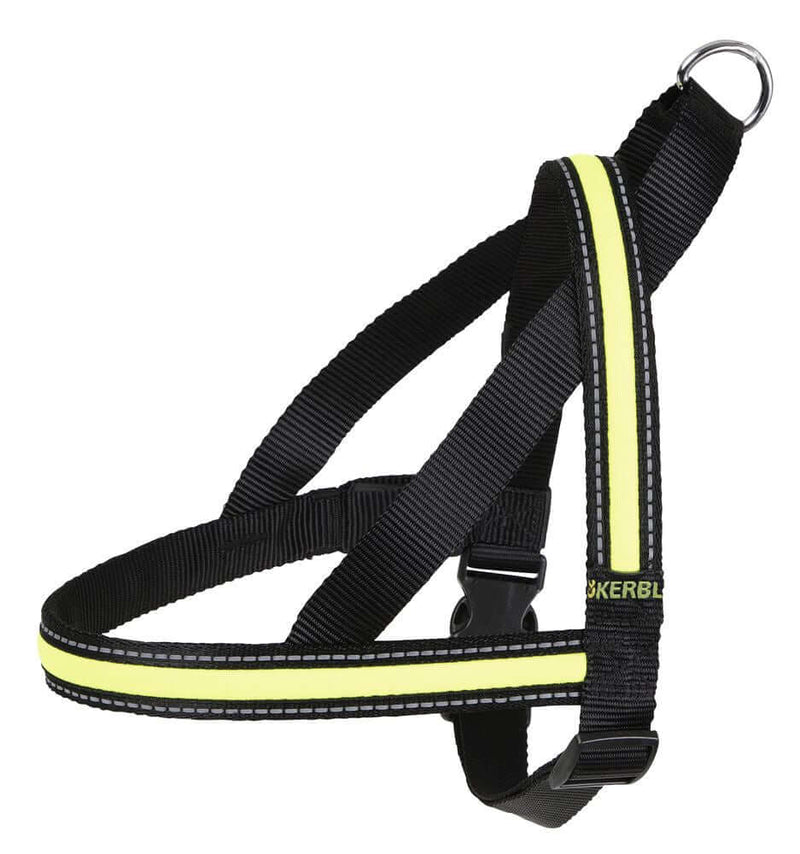 Kerbl Light & Reflex Flashing Harness 2.5x65-80cm - مجموعة رباط تحكم وصدرية للكلاب - Zue For Pet Supplies Co.