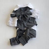 Ziggy Dog Grey Classic Suit w/Vest & Bowtie XXL - ملابس للحيوانات الأليفة - Zue For Pet Supplies Co.