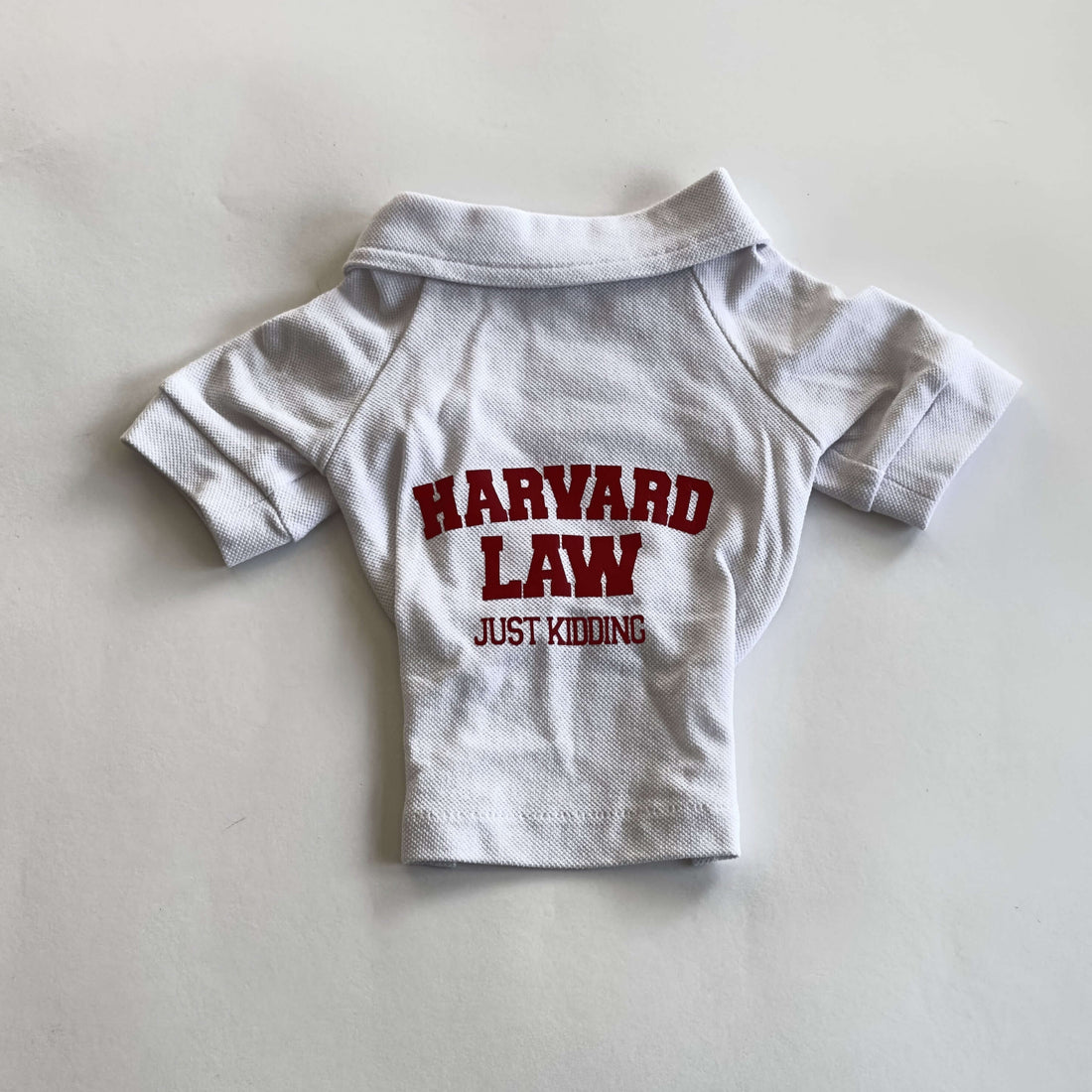 Ziggy Dog Harvard T-Shirt M - Zue For Pet Supplies Co.