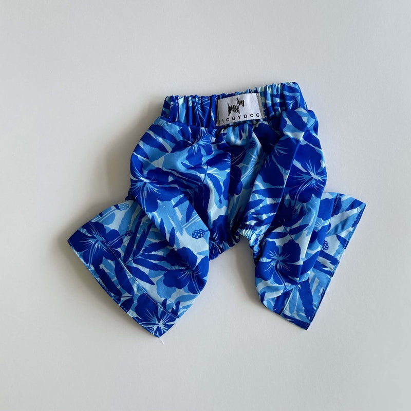 Ziggy Dog Swim Short Blue Floral XXL - ملابس للحيوانات الأليفة - Zue For Pet Supplies Co.