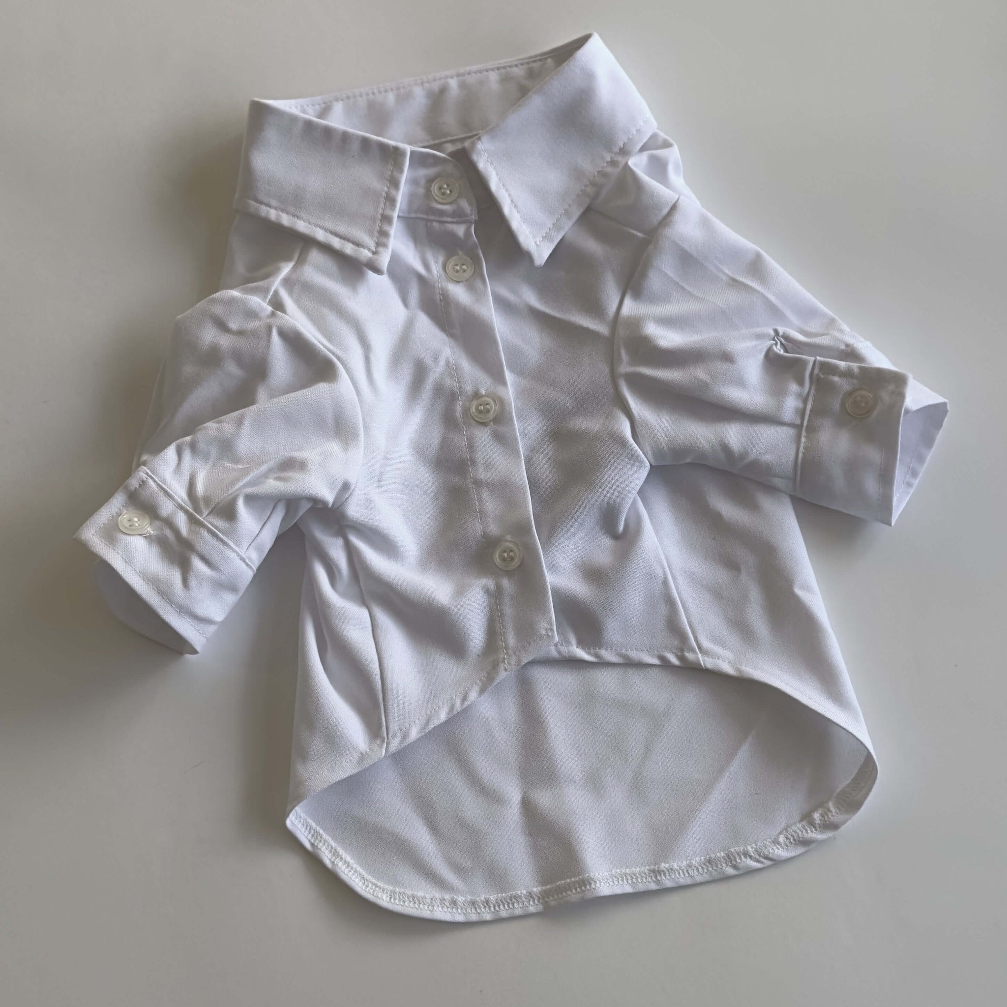 Ziggy Dog Classic White Shirt  - XL - ملابس للحيوانات الأليفة - Zue For Pet Supplies Co.