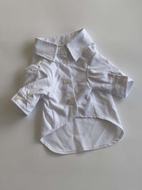 Ziggy Dog Classic White Shirt  - XL - ملابس للحيوانات الأليفة - Zue For Pet Supplies Co.